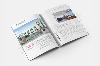 東莞一站式視覺營銷服務(wù) 畫冊設(shè)計、LOGO設(shè)計、網(wǎng)站建設(shè)與宣傳片拍攝制作全解析